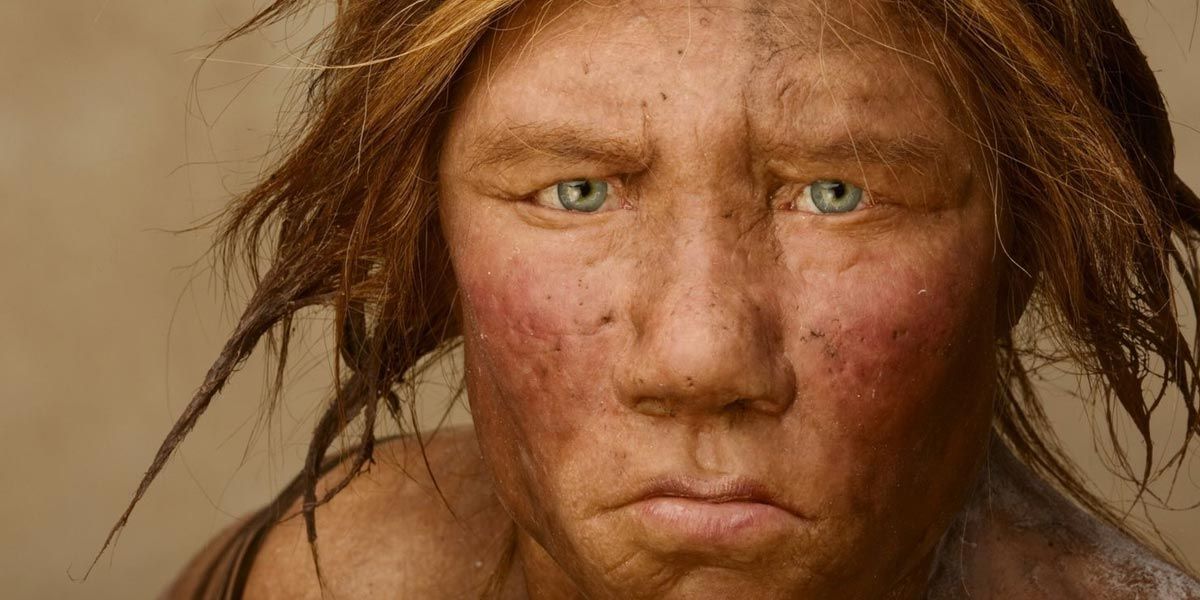 Tio Neandertal.